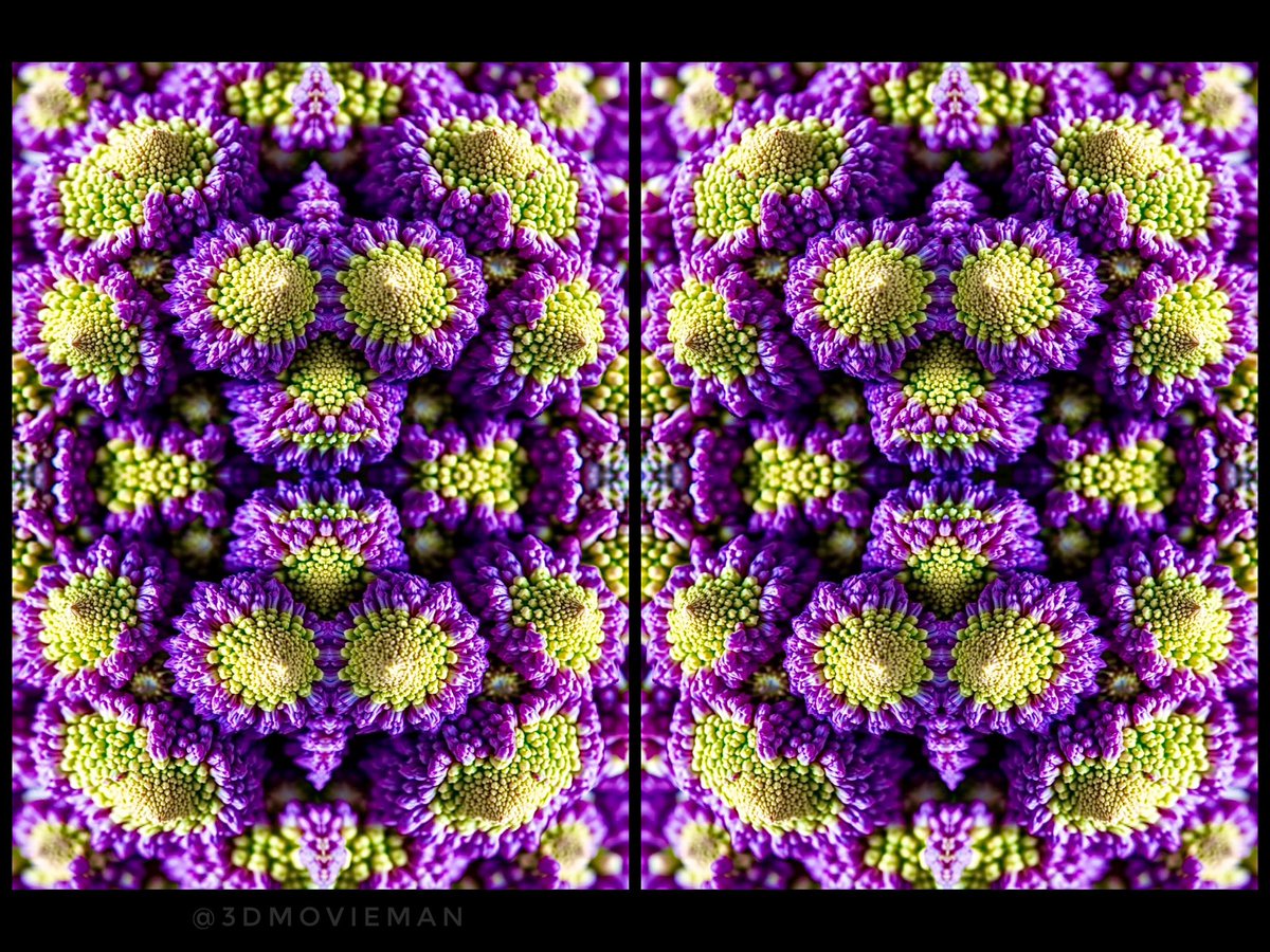 3DMOVIEMAN's tweet photo. Green and purple #stereoscopic 3D #AIart
#stereoscopy #AIArtGallery #DigitalArtist #generative_art #3dart https://t.co/tGcaPKDwe2