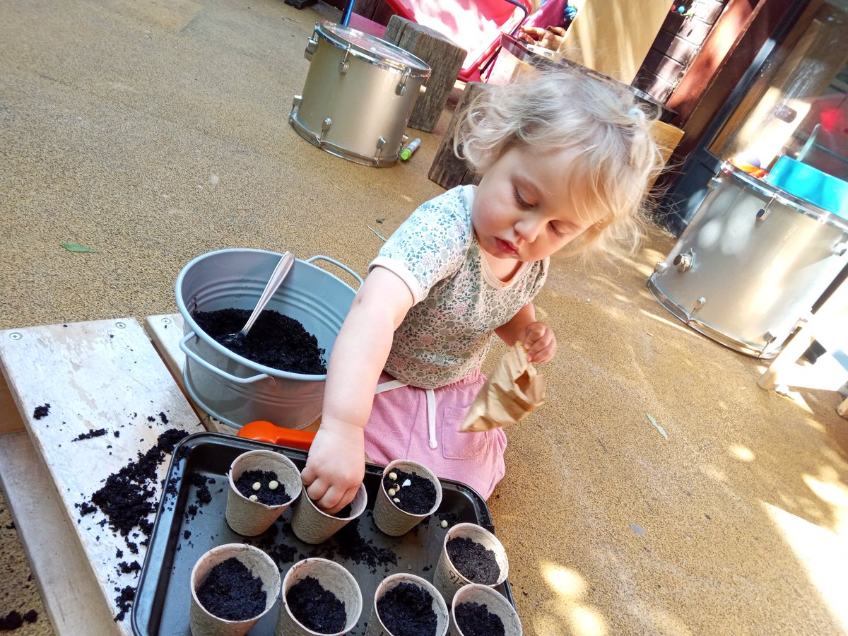 Lyndhurst Primary School (@lyndhurstse5) on Twitter photo This term the children in Ducklings have been learning about growing. They have planted a variety of different vegetables and herbs. The children planted potato seeds, onions, cabbage, chives, bean seeds, pumpkin seeds and a cucumber and pumpkin plant. This term the children in Ducklings have been learning about growing. They have planted a variety of different vegetables and herbs. The children planted potato seeds, onions, cabbage, chives, bean seeds, pumpkin seeds and a cucumber and pumpkin plant.