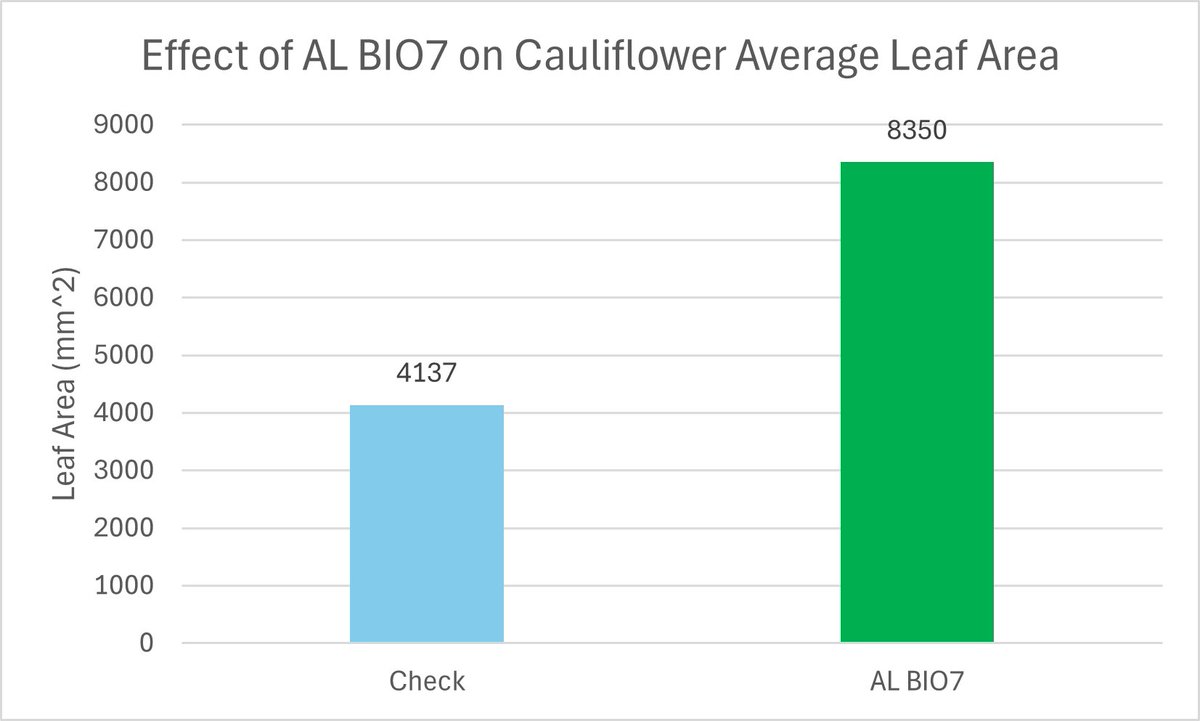 Taylor Jeffery tweet media