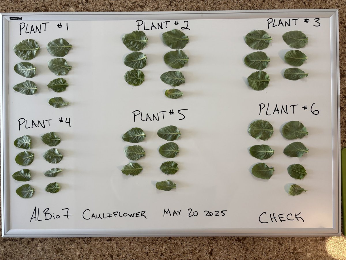 Taylor Jeffery tweet media