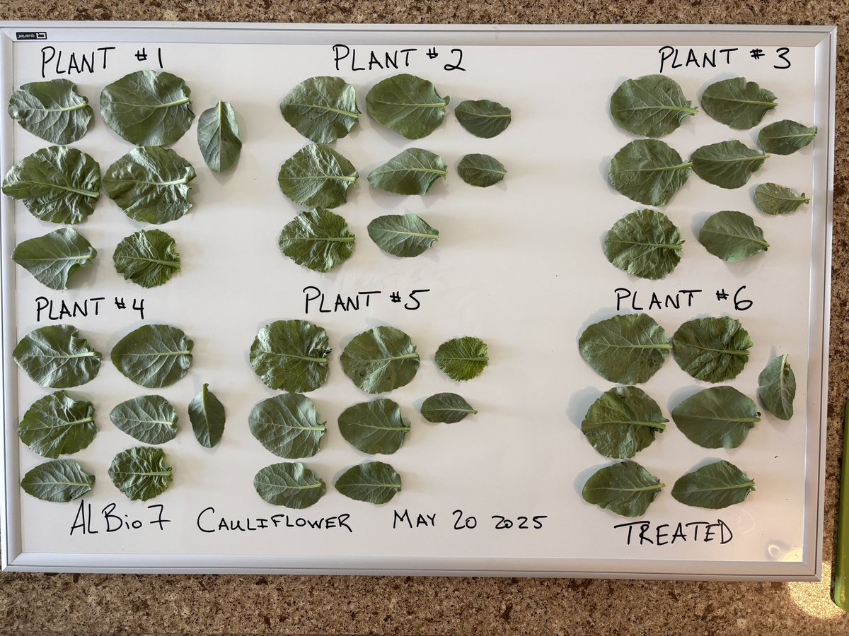 Taylor Jeffery tweet media