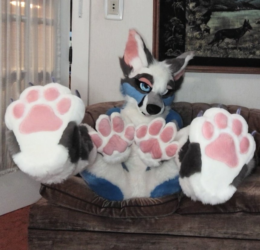 Someone told me you liked paws 🐾🐾