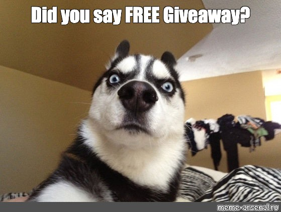 MLBHR's tweet photo. 🚨 FREE GIVEAWAY TIME! 🚨

Let's finish off the week by giving away FIVE free monthly subs to @ScoresOdds for your betting needs. To enter:

1) Follow @ScoresOdds
2) Like this tweet
3) Retweet this tweet

Five random people will win. Deadline 5/24 @ 10am ET. https://t.co/XtUTknJVzF