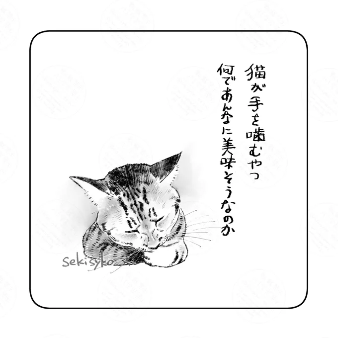 久々雑日記
あの前足は絶対旨いと思わせるほどに狂おしくガミガミやってました 