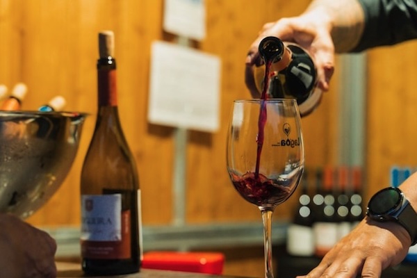 Lagoa Wine Show returns in June with Buba Espinho, Entre Aspas and Dino D'Santiago.
algarvedailynews.com/news/25505-lag…
#lagoa #wineshow #bubaespinho #entreaspas #dinodsantiago #Portugal #news #algarve #algarvedailynews #latestnews #algarvenews #localnews