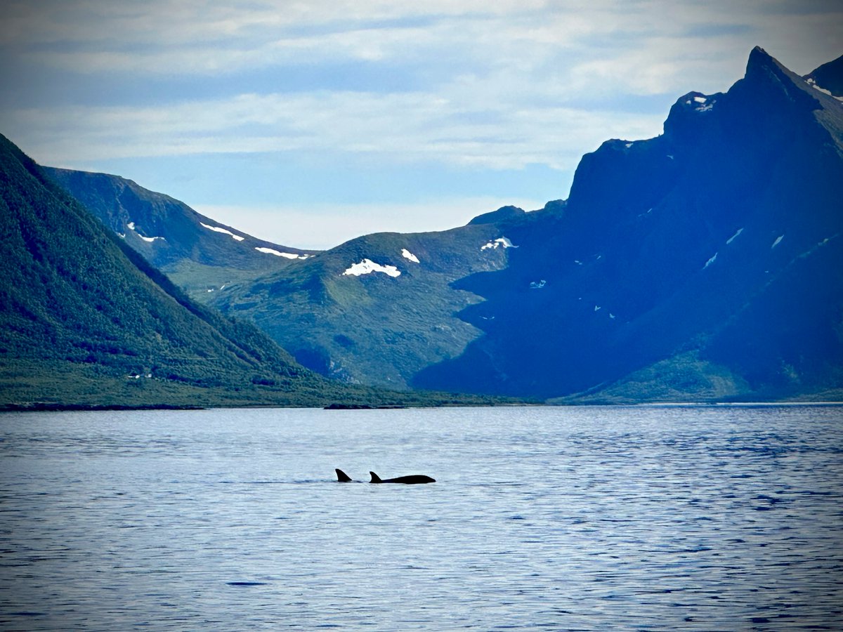 Simon Reeve tweet media