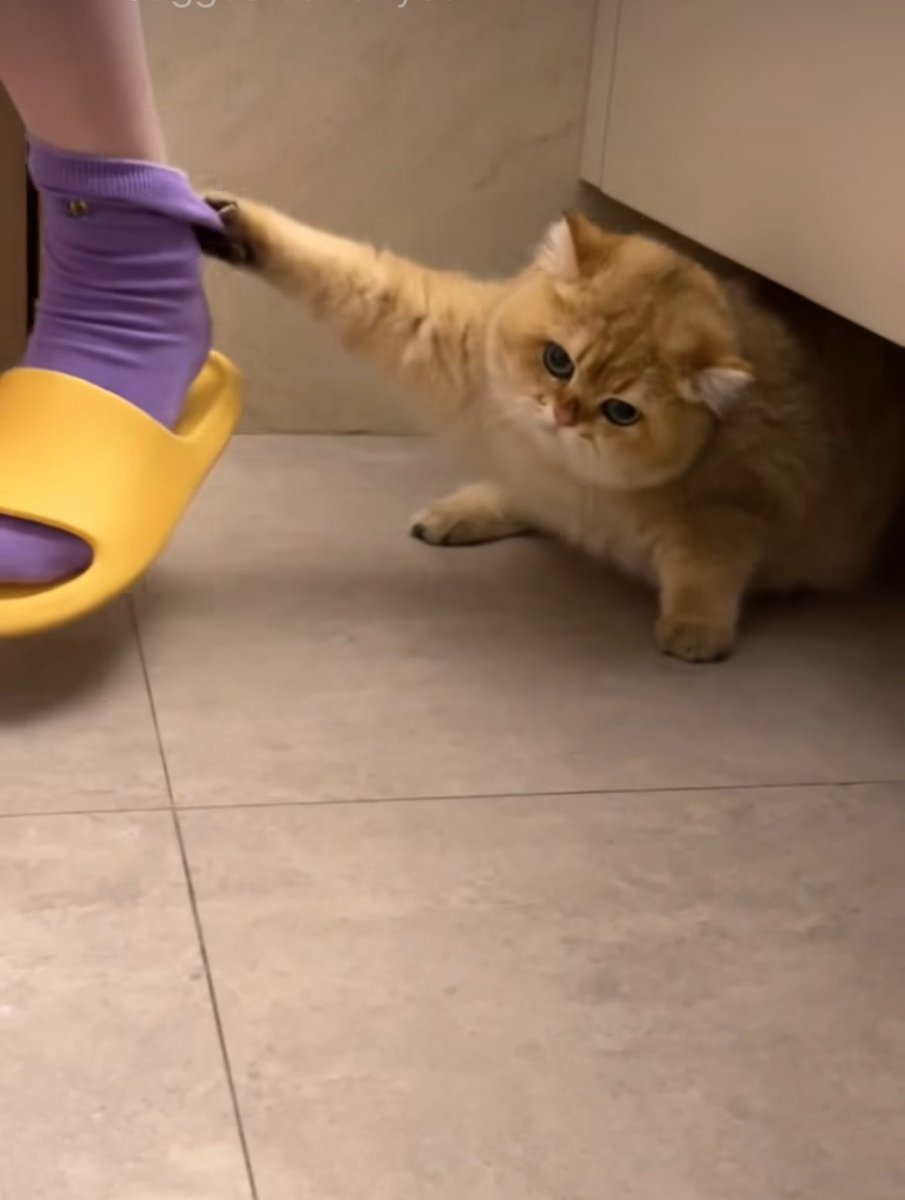Me when you’re trying to leave😬🥰