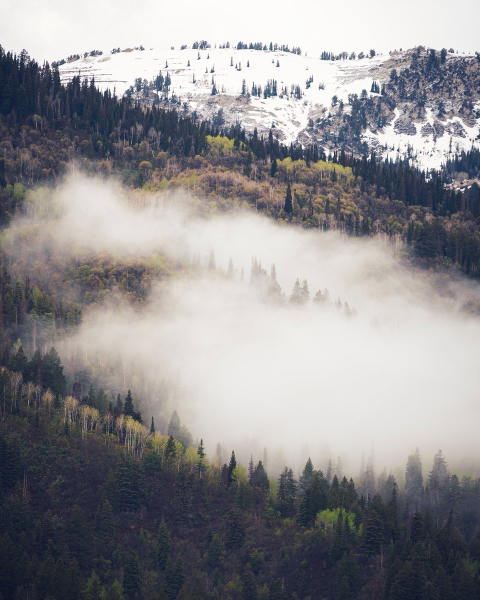 PrestonPhotog's tweet image. "Far over the misty mountains cold"
馃摲Nikon Z6 | Nikkor 24-200mm #nikoncreators