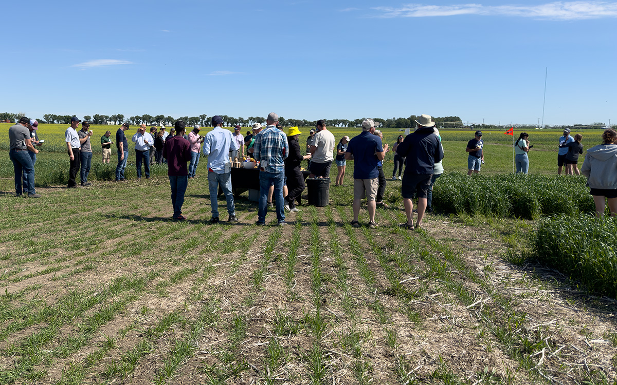 #FSFS25 helps farmers and agronomists cultivate elite skills and networks. Join us June 25 &amp; 26 for 11 exciting demos and presentations on #agronomy topics like #lupins, #salinity, #potato tailored to southern Alberta - visit the link in the thread below