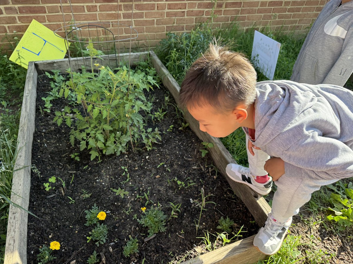 Our garden is growing, just like us 💚#APSgreen