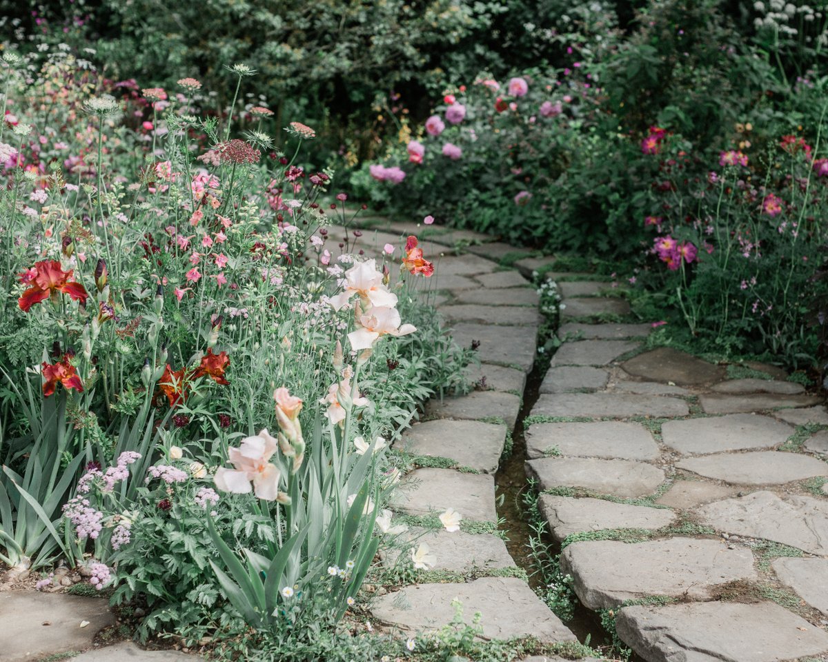 NEW BLOG POST | <a href="/The_RHS/">The RHS</a> Flower Show 2025 | The Glasshouse Garden designed by <a href="/jothompson/">jothompson</a> #RHSChelsea  > ronawheeldon.com/blog/rhs-chels…