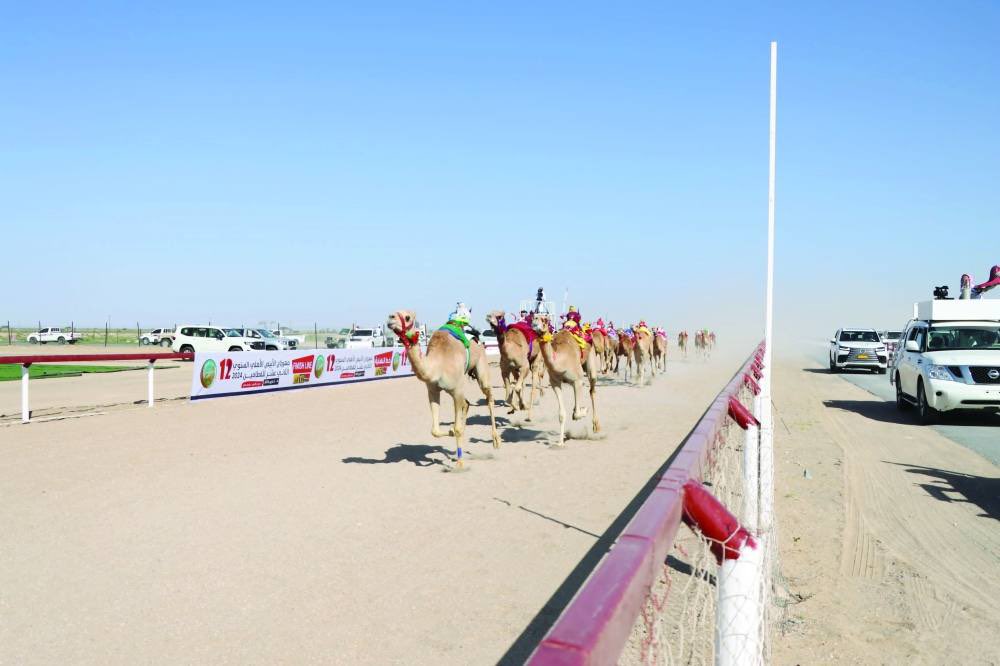 تنطلق غداً السبت فعاليات مهرجان الأبيض الأهلي السنوي الثالث عشر لسباقات الهجن 2025م من #ميدان_الأبيض بولاية سناو، وبمشاركة كبيرة من ملّاك ومضمّري الهجن من مختلف محافظات #سلطنة_عمان، والتي تستمر حتى الـ 25 من شهر مايو الحالي.

🕘 السبت 5:30 صباحاً | الأحد 6:30 صباحاً 
📺 على عمان