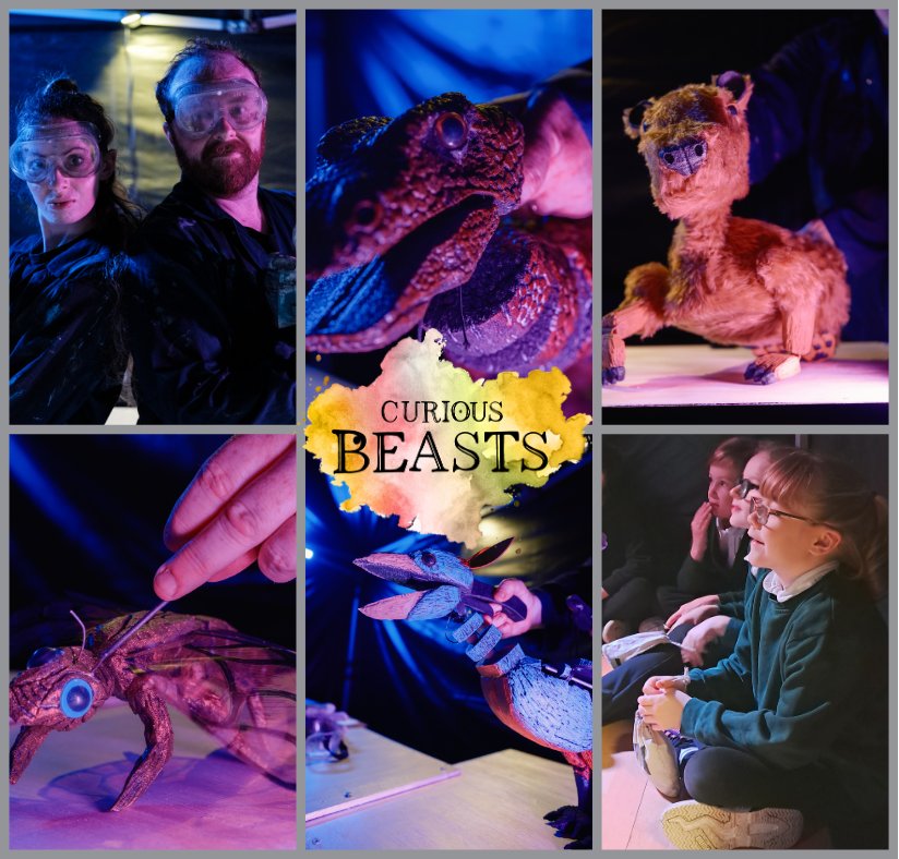 We are delighted to announce that Curious Beasts has won the Chris Drinkwater Creative Health in Primary Schools award!!!!! Now taking bookings for September. To find out more:northeastwellbeing.co.uk/curious-beasts/