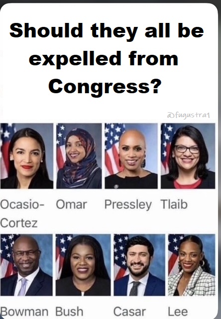 Should they all be expelled from Congress immediately?