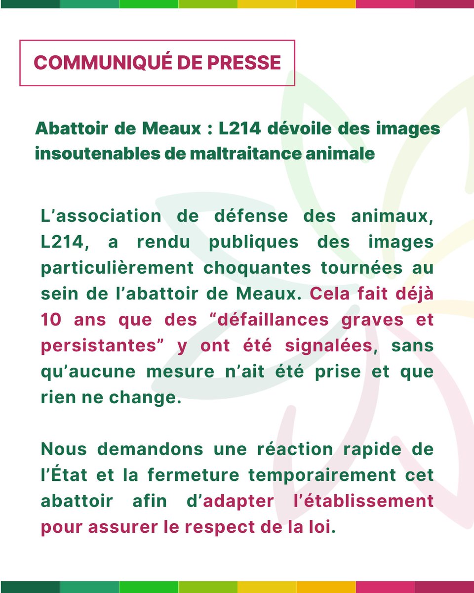 Les animaux de l'abattoir de Meaux sont abattus dans les conditions de souffrance terrible, 10 ans après les premières alertes.

Nous réaffirmons notre soutien à L214, et nous appelons l'État à assurer des contrôles pour faire respecter le droit et la procédure de mise à mort.
