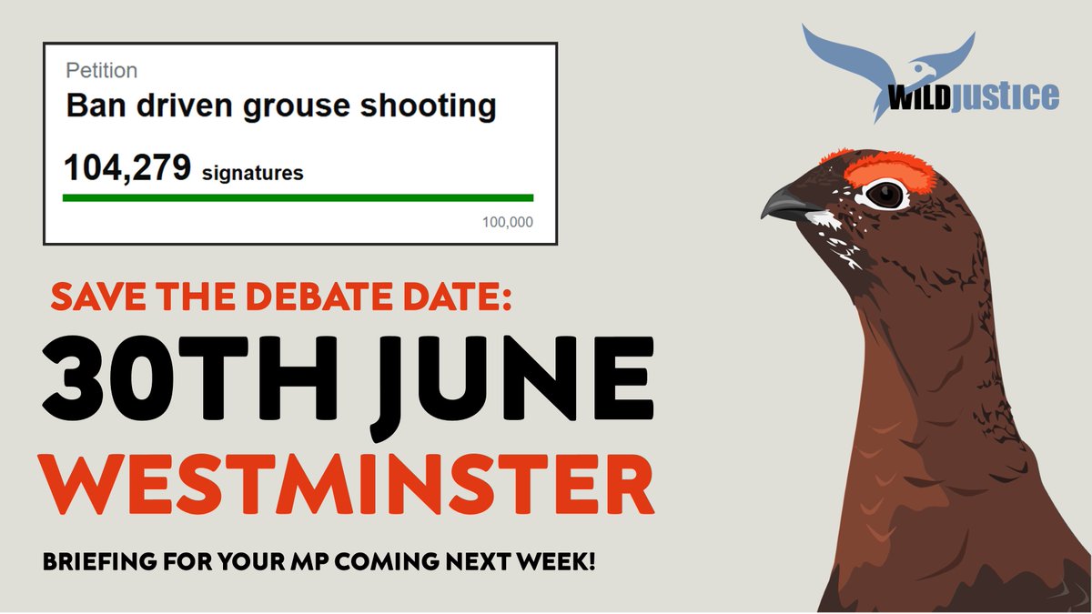 SAVE THE DATE:

Our petition to Ban Driven Grouse shooting will be debated in parliament on June 30th. 

We be sharing a briefing for you to send to your MPs next week - watch this space!