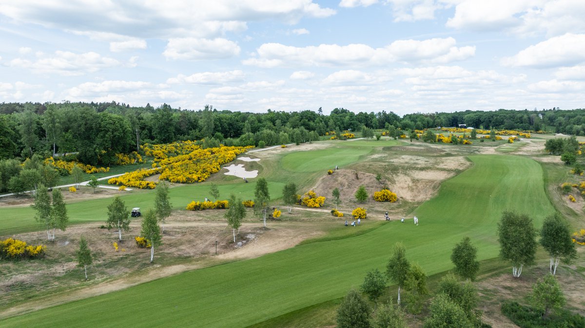 Jonathan Davison tweet media