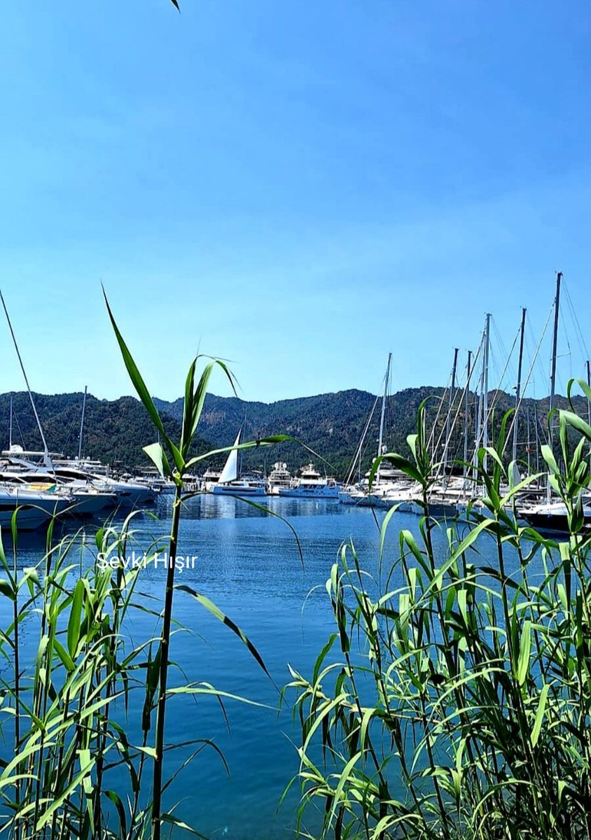 vostokturkey's tweet photo. #Gocek, nestled on #Turkey’s stunning Turquoise Coast, is renowned as one of the country's premier yachting destinations.
Photo credit Şevki Hışır @ Facebook
https://t.co/EWcHpc18Lv https://t.co/al1e9fvMG9