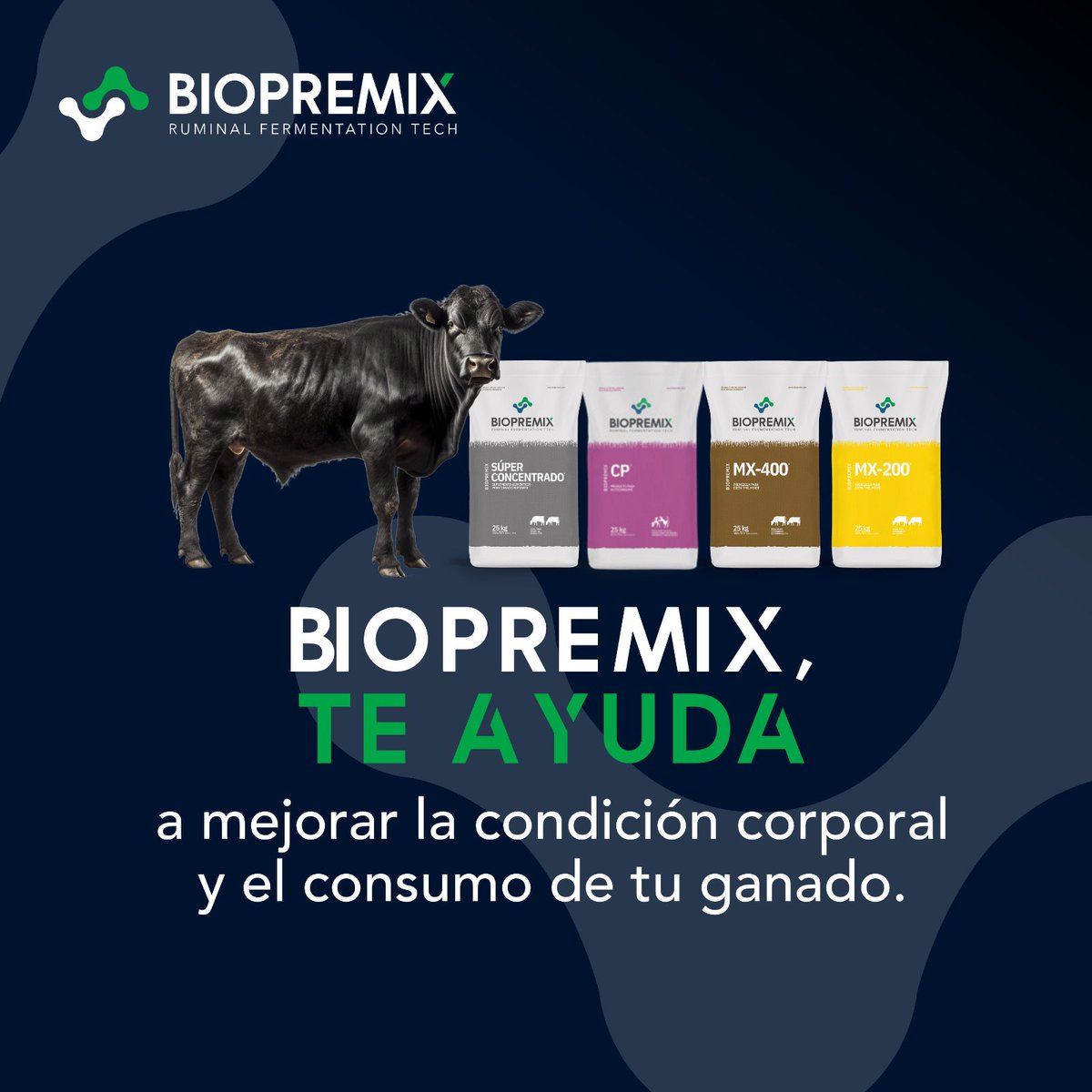 🐄📈¡𝗦𝗲𝗴𝘂𝗶𝗺𝗼𝘀 𝗰𝗿𝗲𝗰𝗶𝗲𝗻𝗱𝗼ⵑ

Le damos la bienvenida a Mateo Uría, quien se suma al equipo comercial de Biopremix para seguir acompañando al productor con soluciones que mejoran la condición corporal y el consumo del ganado.