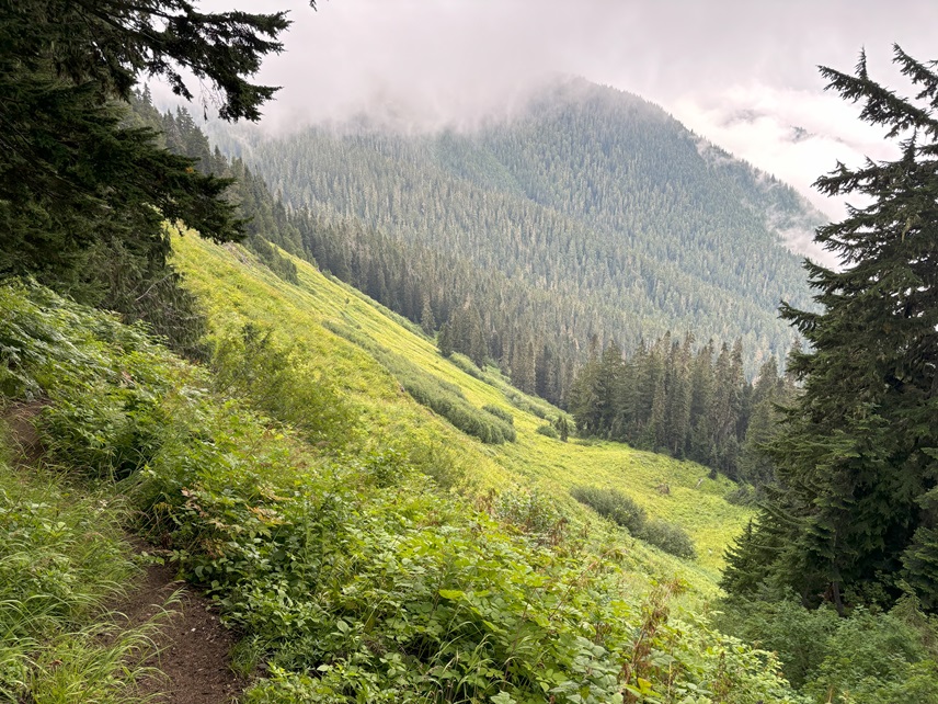 Luke Timmerman (@ldtimmerman) on Twitter photo Timmerman Traverse for <a href="/LS_Cares/">Life Science Cares</a> is at $535,178 in pending and closed donations. Halfway to our $1M goal with three months to go before the PNW adventure. Onward! Thanks to major sponsors <a href="/FenwickWest/">Fenwick</a> KCap Biotechnology Fund LP <a href="/HSBCInnovation/">HSBC Innovation Banking</a> Timmerman Traverse for <a href="/LS_Cares/">Life Science Cares</a> is at $535,178 in pending and closed donations. Halfway to our $1M goal with three months to go before the PNW adventure. Onward! Thanks to major sponsors <a href="/FenwickWest/">Fenwick</a> KCap Biotechnology Fund LP <a href="/HSBCInnovation/">HSBC Innovation Banking</a>