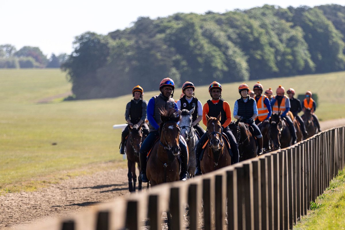 Exciting weekend ahead for our team, as we look forward to runners around the globe in the UK, France and Hong Kong! 🇬🇧🇫🇷🇭🇰

#SL #SomervilleLodge