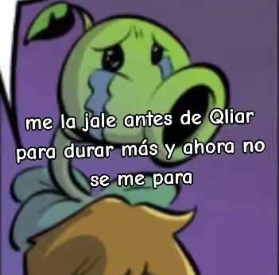 debora culos tweet media