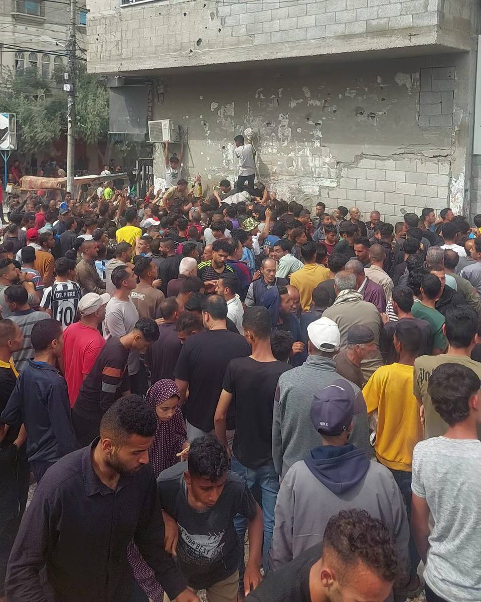 Dignity for Palestinians Campaign tweet media