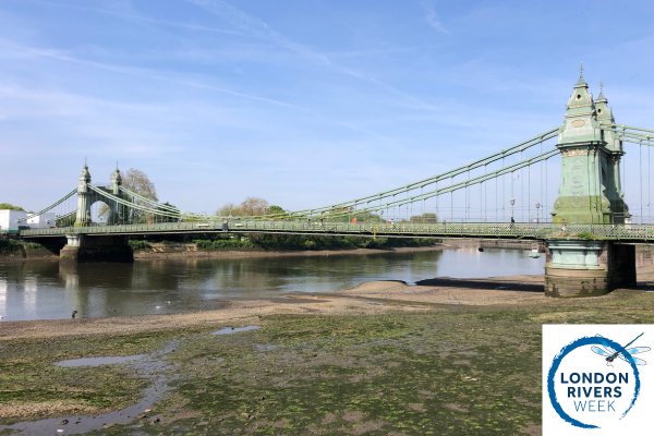 Thames21 (@thames21) on Twitter photo Join charity <a href="/barnes_common/">Barnes Common</a> for a stroll along the Thames towpath to learn about riverside trees, including the rare female Black Poplars in this area! This is a FREE #londonriversweek2025 event.
📅 Tuesday 3rd June. 6.00pm-7.30pm
Register here: thames21.org.uk/event/london-r… Join charity <a href="/barnes_common/">Barnes Common</a> for a stroll along the Thames towpath to learn about riverside trees, including the rare female Black Poplars in this area! This is a FREE #londonriversweek2025 event.
📅 Tuesday 3rd June. 6.00pm-7.30pm
Register here: thames21.org.uk/event/london-r…