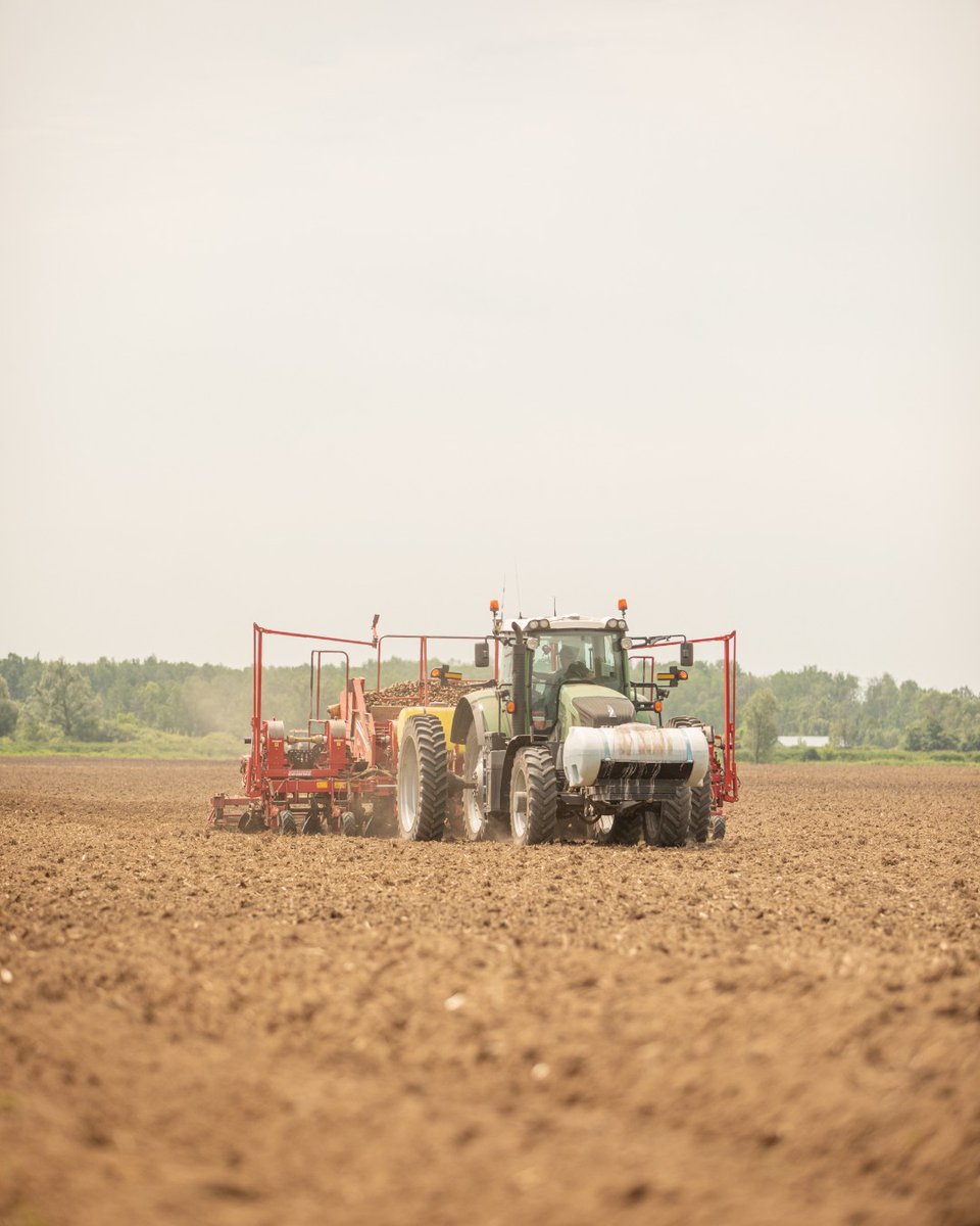 Planting season is underway at Gwillimdale Farms! As we lay the foundation for a fresh new harvest, we're committed to growing with care, quality, and sustainability — from our fields to your table