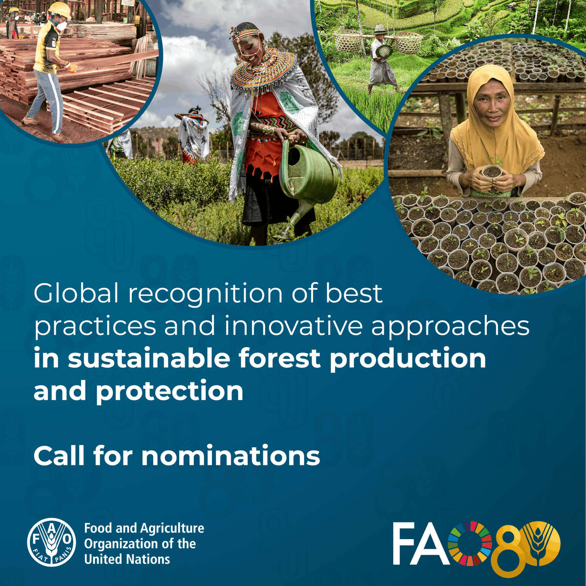 FAO Forestry (@faoforestry) on Twitter photo ๐ณ๐ Deadline approaching!
Celebrate <a href="/FAO/">Food and Agriculture Organization</a>'s 80th anniversary by nominating global forestry champions who have made outstanding contributions to sustainable forest management in the last 80 years!
Submit nominations by 31 May
โก๏ธ ow.ly/ekkr50VWg29
#FAO80 ๐ณ๐ Deadline approaching!
Celebrate <a href="/FAO/">Food and Agriculture Organization</a>'s 80th anniversary by nominating global forestry champions who have made outstanding contributions to sustainable forest management in the last 80 years!
Submit nominations by 31 May
โก๏ธ ow.ly/ekkr50VWg29
#FAO80