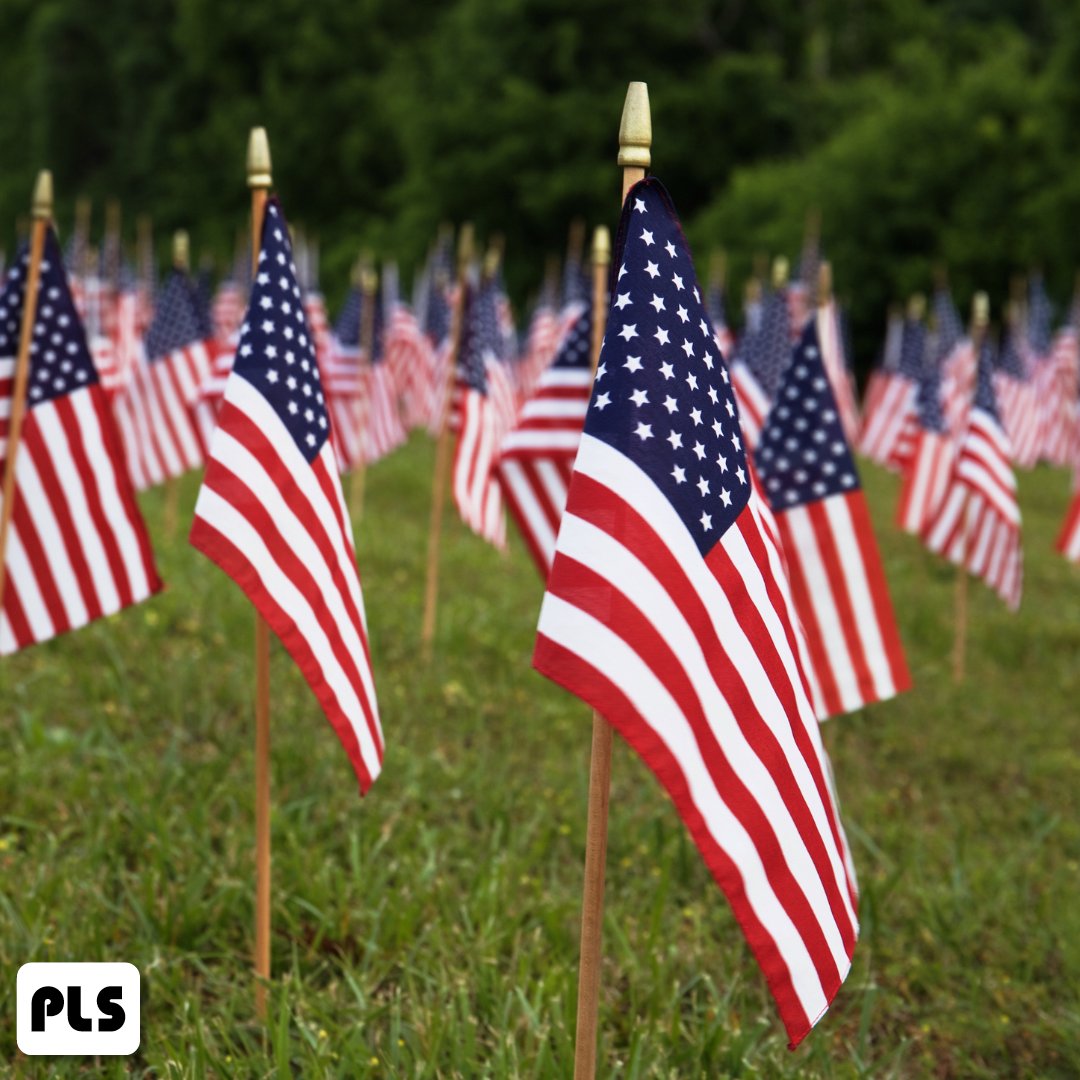 This Memorial Day weekend, we honor the brave men and women who gave everything to protect our freedom. The legacy they left behind will never be forgotten. 🇺🇸

Please note that our office will be closed on Monday in observance of the holiday.

#professionallightingservices