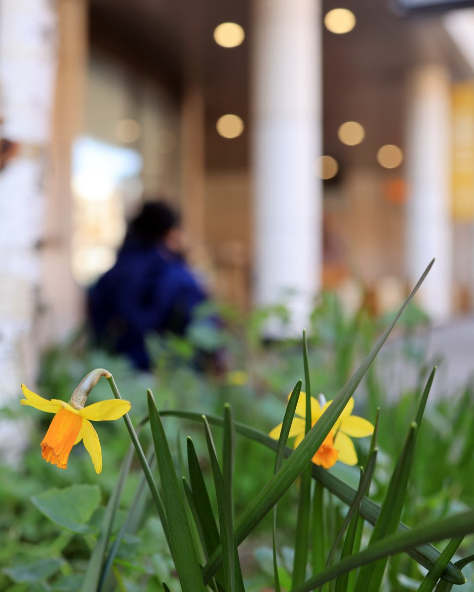 Hello long weekend! 👀 🛍️

Looking for some weekend plans? Visit us and enjoy a spot of shopping and a bite to eat. 🤩

We will be open as usual this weekend and 7am - 12.30am on bank holiday Monday. ⏰

Please check individual brand websites for specific opening hours.