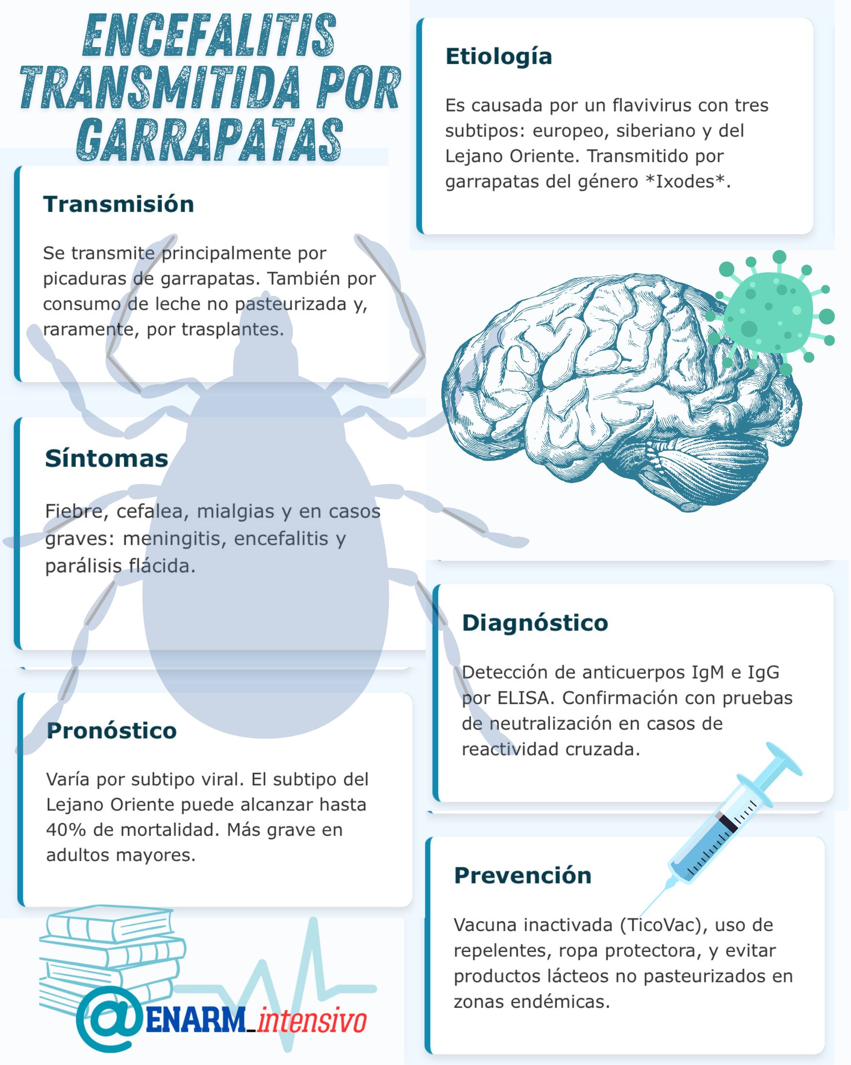 🎴TARJETA DE REPASO: ENCEFALITIS TRANSMITIDA POR GARRAPATAS