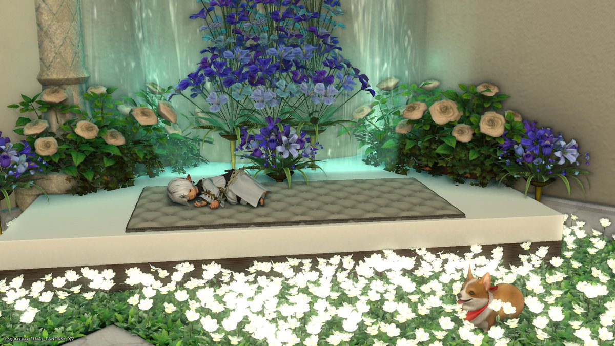 amano1859's tweet image. フレ様のお部屋にお邪魔してきましたー！撮影後にボードにメッセ書いてたらご本人と遭遇！久し振りにお会いできてよかったでっす！お身体お大事に！

#UTMstudio