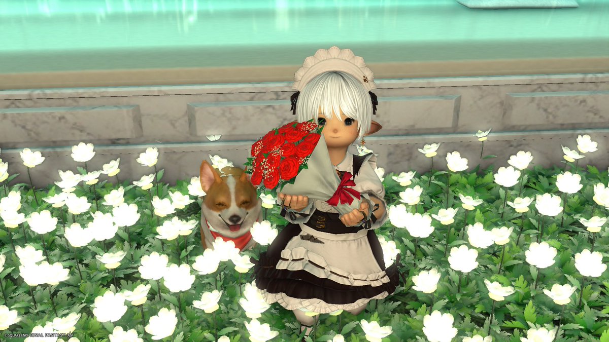 amano1859's tweet image. フレ様のお部屋にお邪魔してきましたー！撮影後にボードにメッセ書いてたらご本人と遭遇！久し振りにお会いできてよかったでっす！お身体お大事に！

#UTMstudio