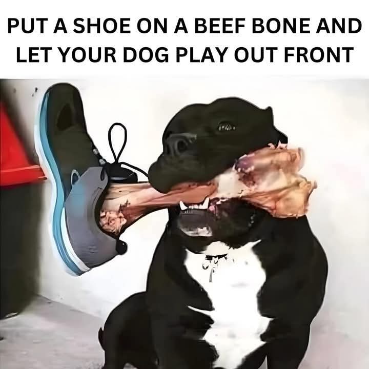 Grin & Tonic (@kestreltoni) on Twitter photo 