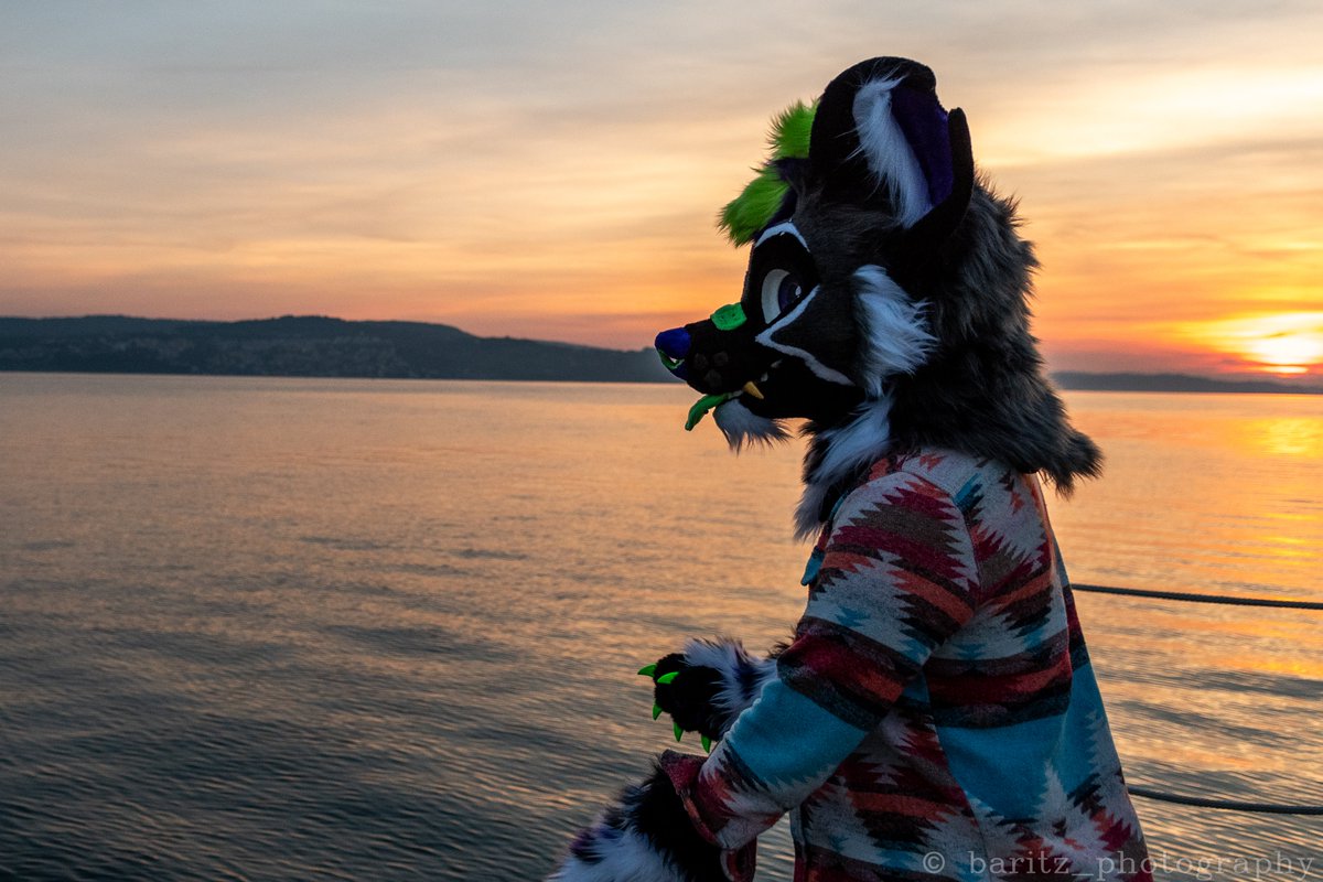 🌅 Sunset

📸 <a href="/Baritz3/">Baritz💙</a> 
🧵 <a href="/StuffedTailsFur/">StuffedTailsFursuits |STF|</a>