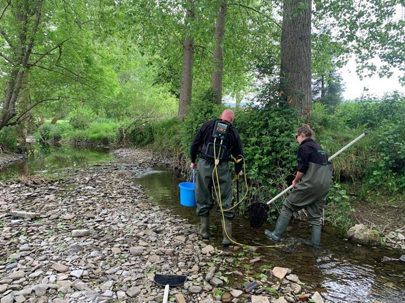 EnvAgencyMids's tweet photo. Officers recently rescued fish at River Redlake in Shropshire due to low water levels. 

If you see fish in distress please report it to our 24/7 incident hotline number 0800 807060. https://t.co/iL8U8E6iZY
