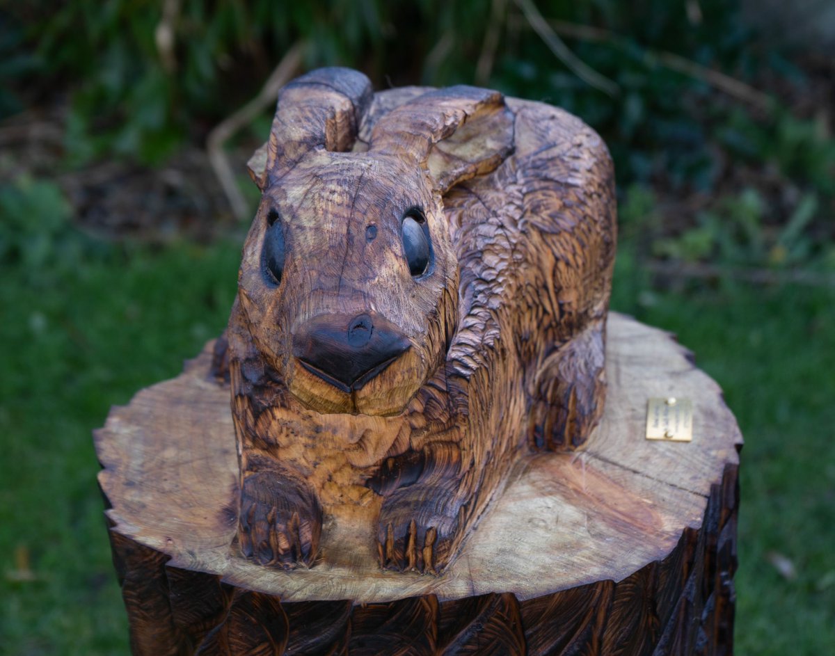 Here is the same Hare from Wednesday. As you can see, burning and oiling the carving brings out the finer details and helps bring the carvings to life #woodcarving #wood #carving #art #handmade #bespoke #sculpture #animals #wildlife #animals #hare #oiling #oil