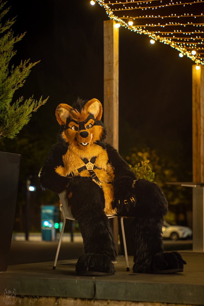 TIA (@doggotia) on Twitter photo Come here cutie, closerโฆ reveal your secrets to me ๐๐โฆ
and will be a very special #FursuitFriday
๐ชก<a href="/TheKarelia/">TheKareliaFursuits ๐ Dokomi, EF29, Furnavia.</a>
๐ธ<a href="/Krymson_K/">Krym๐พ /๐ฆ : tuftslink.fr</a>
๐#fauntastic5
#FursuitsEveryday #fursuiter #fursuiting Come here cutie, closerโฆ reveal your secrets to me ๐๐โฆ
and will be a very special #FursuitFriday
๐ชก<a href="/TheKarelia/">TheKareliaFursuits ๐ Dokomi, EF29, Furnavia.</a>
๐ธ<a href="/Krymson_K/">Krym๐พ /๐ฆ : tuftslink.fr</a>
๐#fauntastic5
#FursuitsEveryday #fursuiter #fursuiting