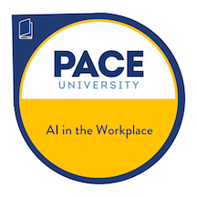 View my verified achievement from @paceuniversity. credly.com/badges/c57e71e… via <a href="/credly/">Credly</a>