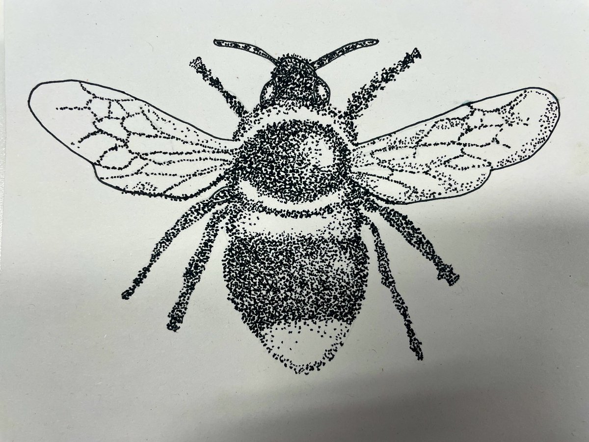 Love to share our Artist of the week with the whole school community. 🦋 #culture
