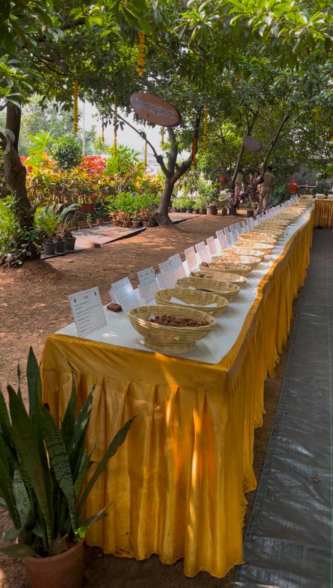 આજ રોજ વલસાડ વન વર્તુળ વતી વલસાડ દક્ષિણ વન વિભાગ દ્વારા ચણવઇ ખાતે બીજ મેળાનું આયોજન કરેલ.જેમાં જંગલમાં જોવા મળતી 250 થી વધુ વનસ્પતિઓના બીજને પ્રદર્શન અર્થે મૂકવામાં આવેલ.પ્રગતિશીલ ખેડૂતો, વિધાર્થીઓ, એન.જી.ઓ તેમજ વન વિભાગના સ્ટાફ દ્વારા ઉત્સાહભેર મેળાની મુલાકાત લેવામાં આવેલ.