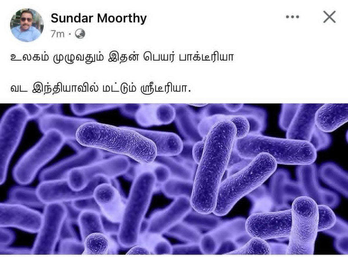 பாக்கியராஜ் இனி?