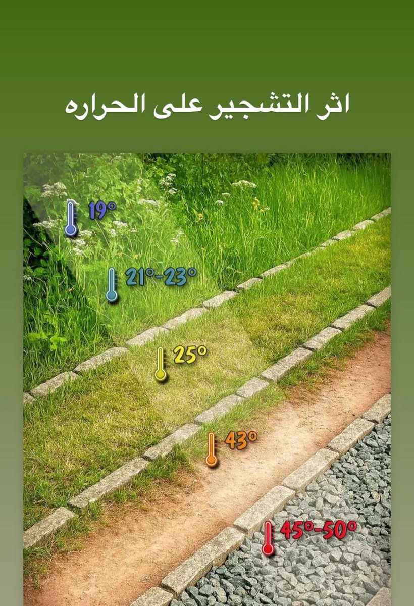 أثر زراعة الاشجار بكثافة واستخدام شبكات الري بالتنقيط للحفاظ على الاستخدام الافضل للماء