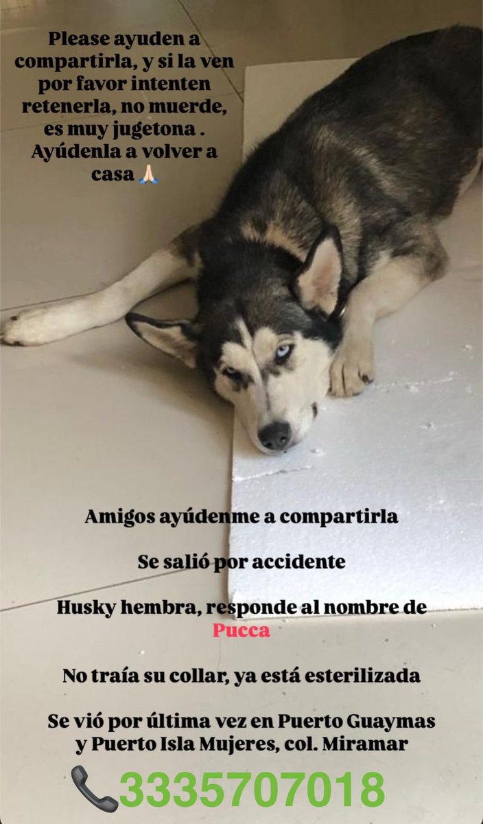 Por favor. Compartir.