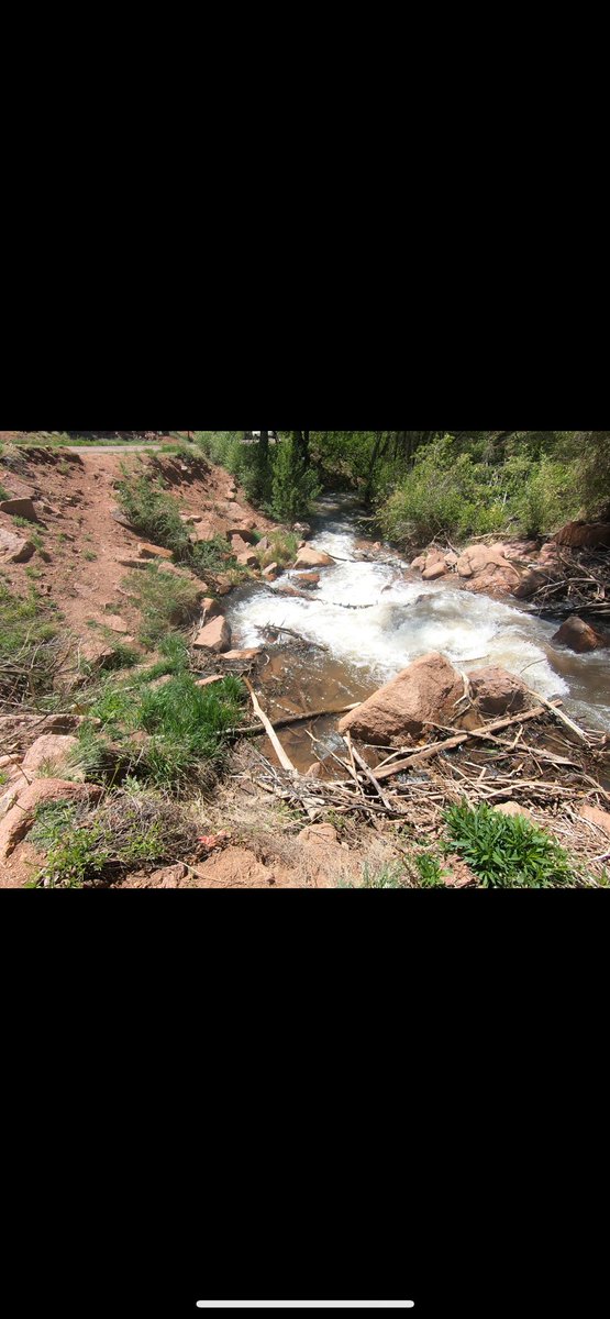 Check out the new YouTube Video!! 

Creek Fishing for Brown Trout in the Colorado Rockies! youtu.be/satTIUgxgFc?si… via <a href="/YouTube/">YouTube</a>