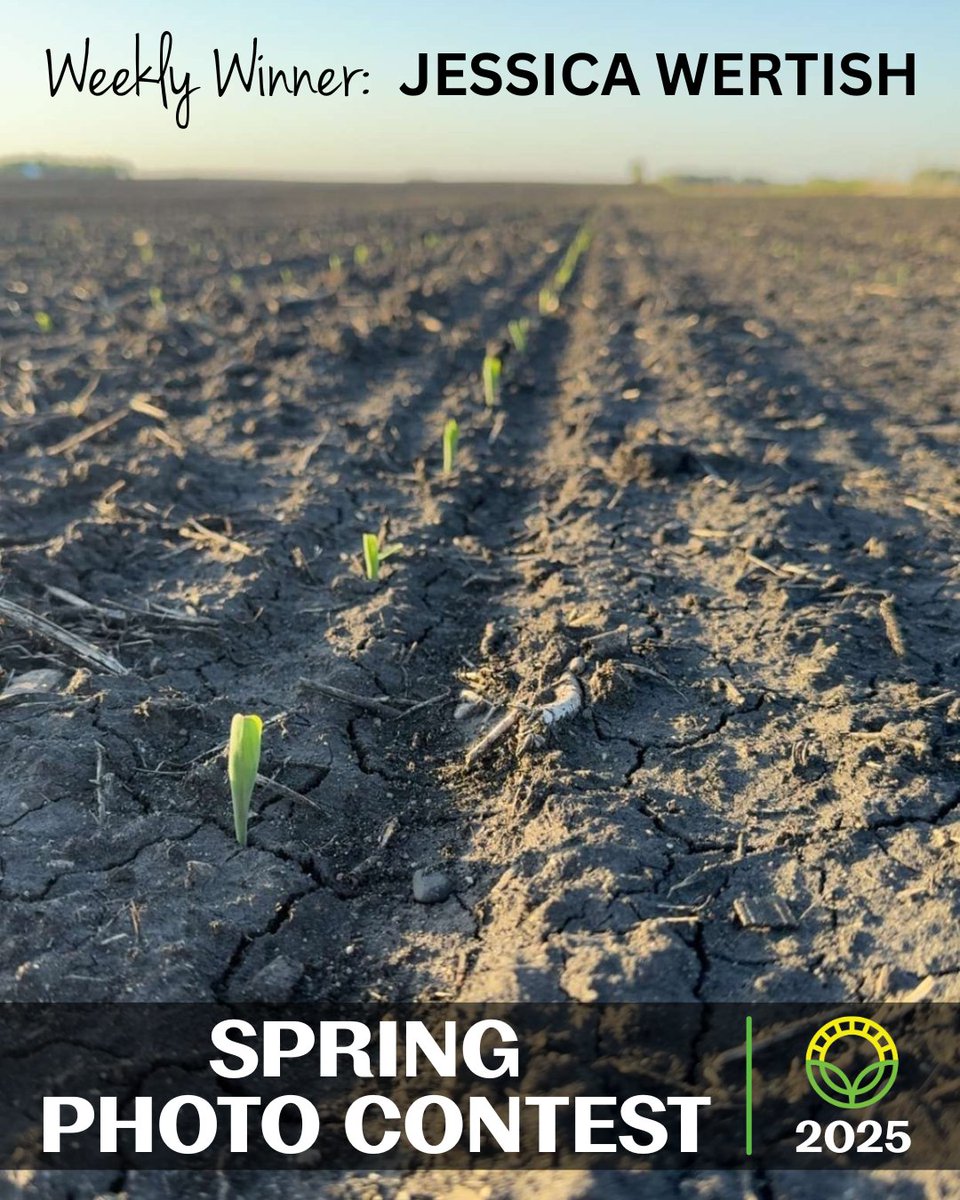 Farmward Cooperative tweet media