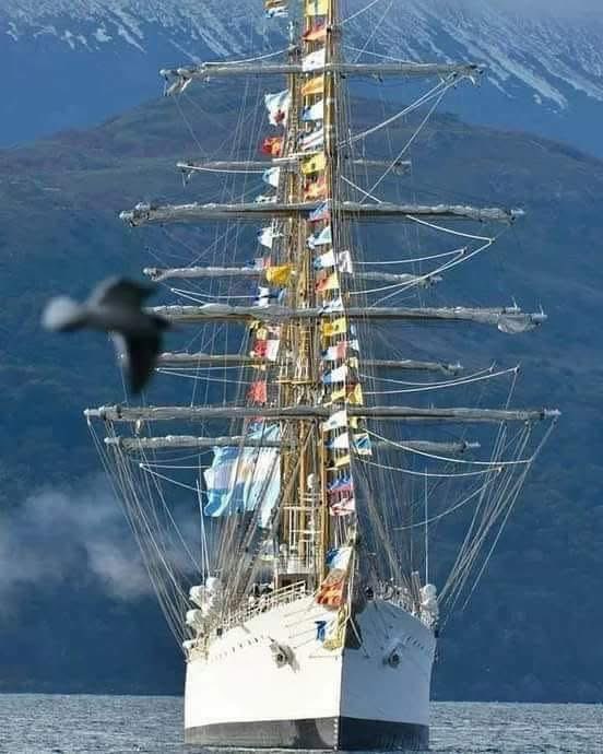 Reina de los mares y Embajadores de nuestra Patria.

Fragata Libertad 🇦🇷🇦🇷