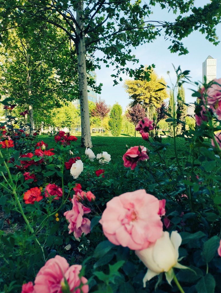 İyi akşamlar iyi yürekli canlar 💐🙋🙏
🕊️...🌸
Belkide beni bu katıksız özlem öldürecek.
c.mordağlı
🕊️...🌸
#nükte